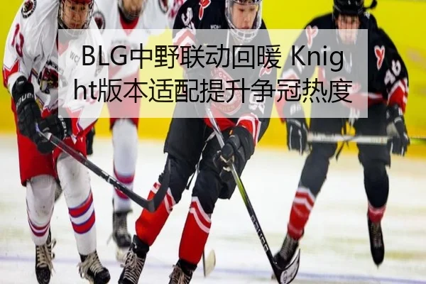 BLG中野联动回暖 Knight版本适配提升争冠热度